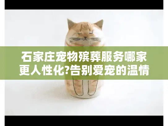 石家庄宠物殡葬服务哪家更人性化?告别爱宠的温情选择指南