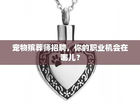 宠物殡葬师招聘，你的职业机会在哪儿？