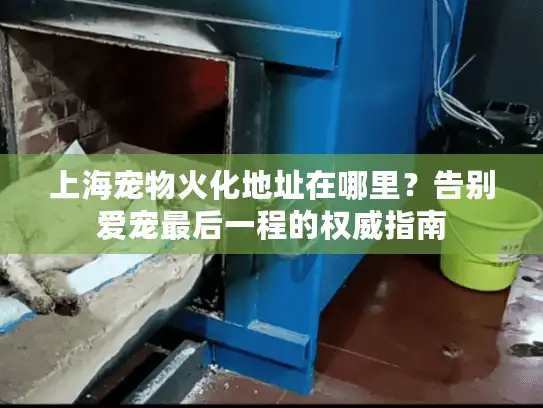上海宠物火化地址在哪里？告别爱宠最后一程的权威指南