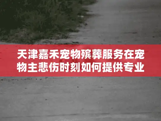 天津嘉禾宠物殡葬服务在宠物主悲伤时刻如何提供专业支持？