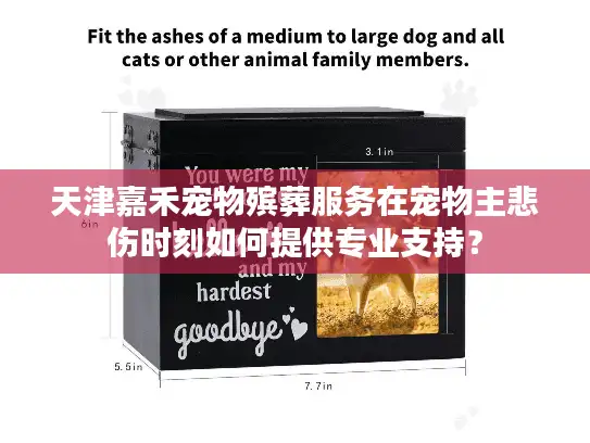 天津嘉禾宠物殡葬服务在宠物主悲伤时刻如何提供专业支持？