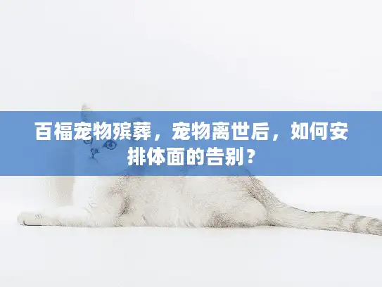 百福宠物殡葬，宠物离世后，如何安排体面的告别？