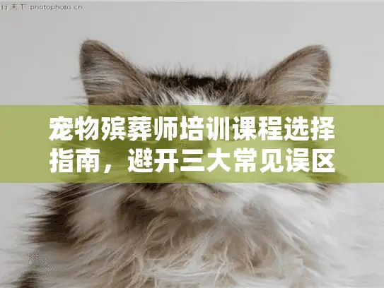 宠物殡葬师培训课程选择指南，避开三大常见误区的实操方案