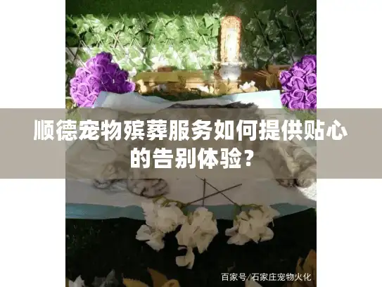 顺德宠物殡葬服务如何提供贴心的告别体验？