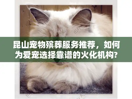 昆山宠物殡葬服务推荐，如何为爱宠选择靠谱的火化机构?