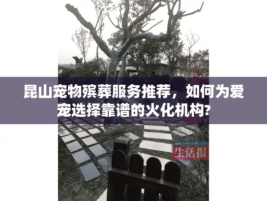 昆山宠物殡葬服务推荐，如何为爱宠选择靠谱的火化机构?