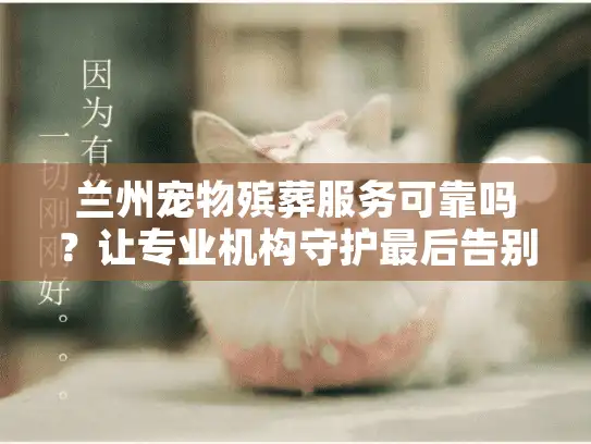兰州宠物殡葬服务可靠吗？让专业机构守护最后告别仪式