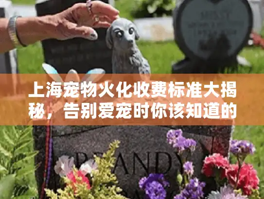 上海宠物火化收费标准大揭秘，告别爱宠时你该知道的7件事