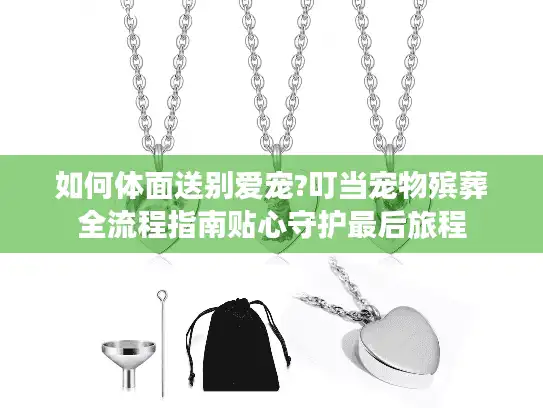 如何体面送别爱宠?叮当宠物殡葬全流程指南贴心守护最后旅程