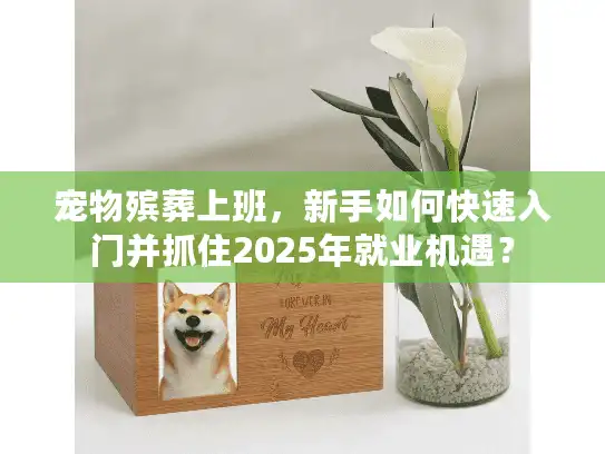 宠物殡葬上班，新手如何快速入门并抓住2025年就业机遇？
