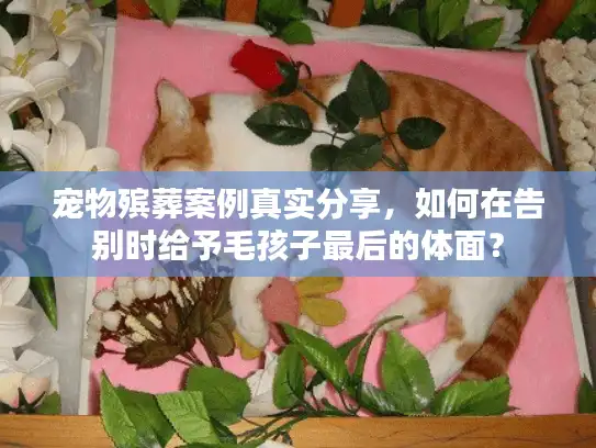 宠物殡葬案例真实分享，如何在告别时给予毛孩子最后的体面？