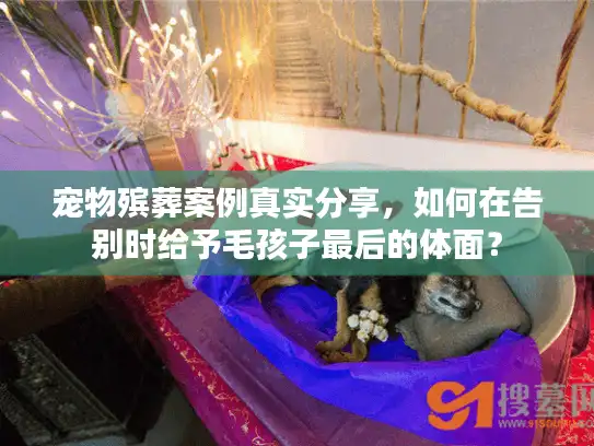 宠物殡葬案例真实分享，如何在告别时给予毛孩子最后的体面？