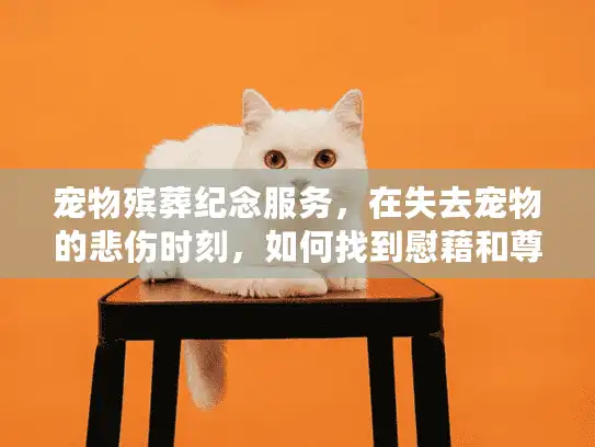 宠物殡葬纪念服务，在失去宠物的悲伤时刻，如何找到慰藉和尊严告别？