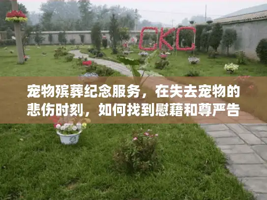 宠物殡葬纪念服务，在失去宠物的悲伤时刻，如何找到慰藉和尊严告别？