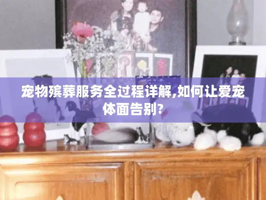 宠物殡葬服务全过程详解,如何让爱宠体面告别?