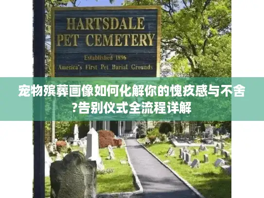 宠物殡葬画像如何化解你的愧疚感与不舍?告别仪式全流程详解