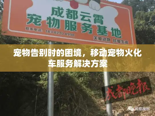 宠物告别时的困境，移动宠物火化车服务解决方案