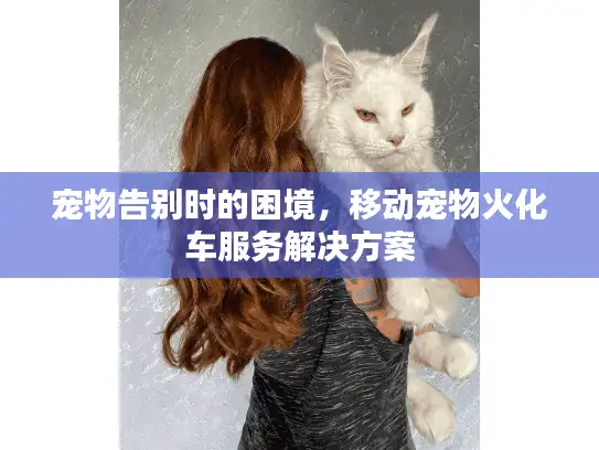 宠物告别时的困境，移动宠物火化车服务解决方案