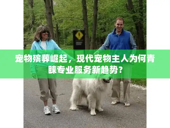 宠物殡葬崛起，现代宠物主人为何青睐专业服务新趋势？