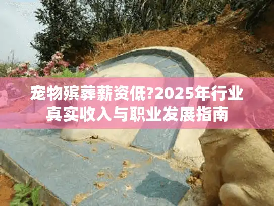 宠物殡葬薪资低?2025年行业真实收入与职业发展指南