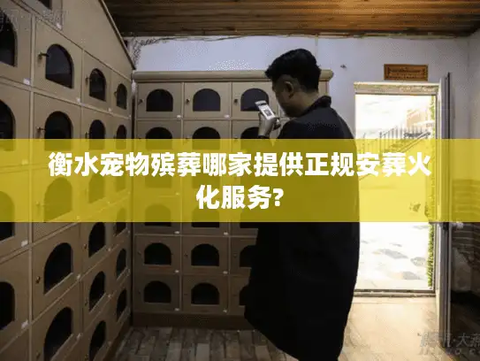 衡水宠物殡葬哪家提供正规安葬火化服务?