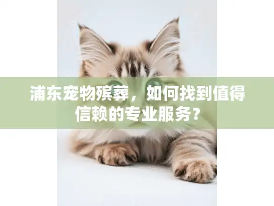 浦东宠物殡葬，如何找到值得信赖的专业服务？