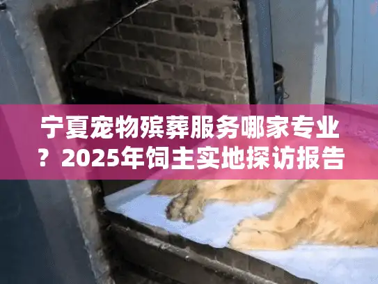 宁夏宠物殡葬服务哪家专业？2025年饲主实地探访报告