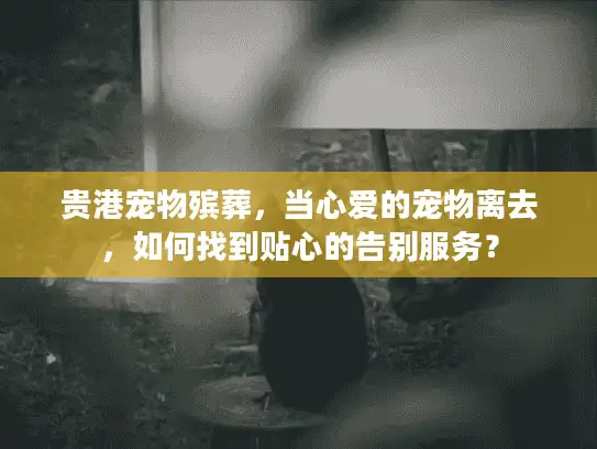 贵港宠物殡葬，当心爱的宠物离去，如何找到贴心的告别服务？