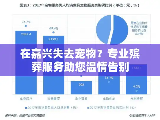 在嘉兴失去宠物？专业殡葬服务助您温情告别