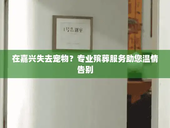 在嘉兴失去宠物？专业殡葬服务助您温情告别