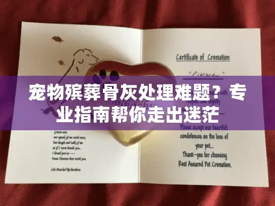 宠物殡葬骨灰处理难题？专业指南帮你走出迷茫