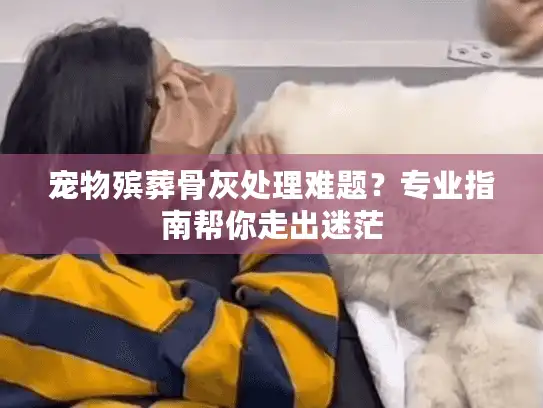 宠物殡葬骨灰处理难题？专业指南帮你走出迷茫