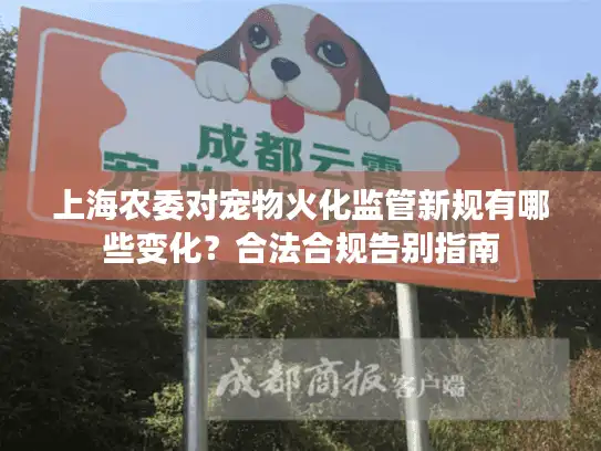 上海农委对宠物火化监管新规有哪些变化？合法合规告别指南