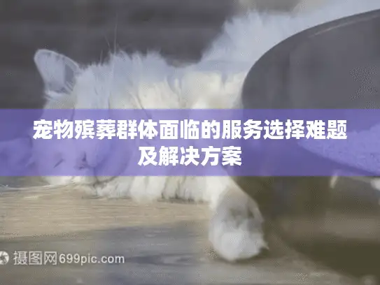 宠物殡葬群体面临的服务选择难题及解决方案