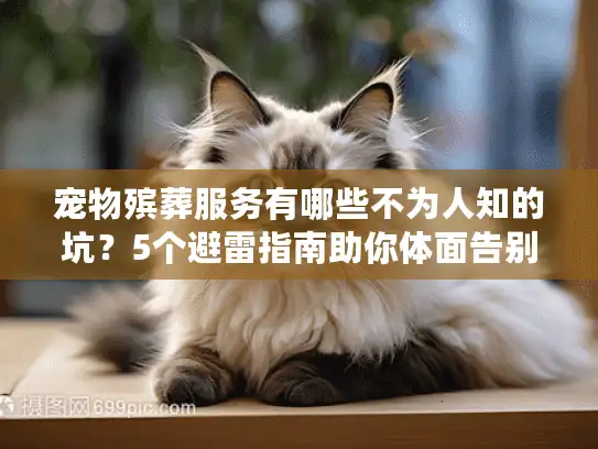 宠物殡葬服务有哪些不为人知的坑？5个避雷指南助你体面告别