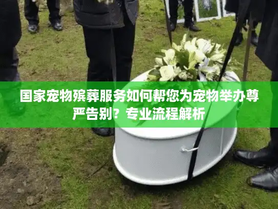 国家宠物殡葬服务如何帮您为宠物举办尊严告别？专业流程解析