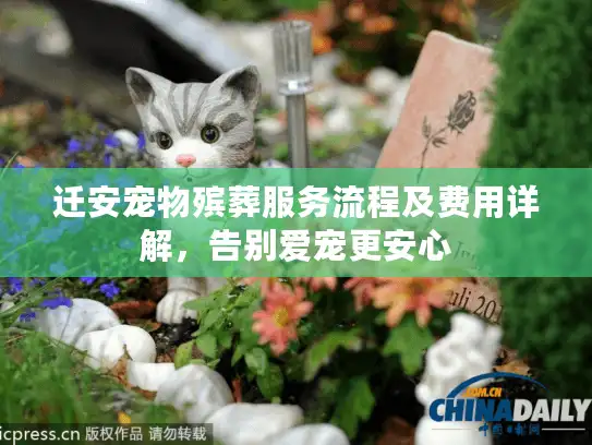 迁安宠物殡葬服务流程及费用详解，告别爱宠更安心
