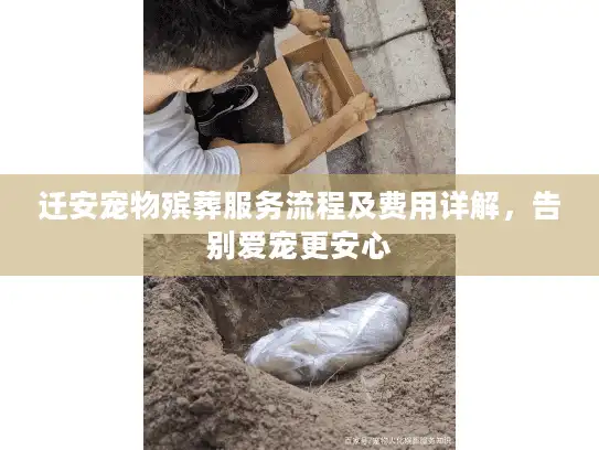 迁安宠物殡葬服务流程及费用详解，告别爱宠更安心