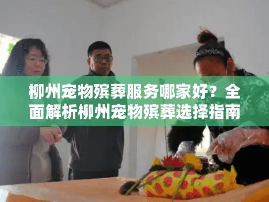 柳州宠物殡葬服务哪家好？全面解析柳州宠物殡葬选择指南