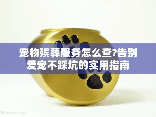 宠物殡葬服务怎么查?告别爱宠不踩坑的实用指南