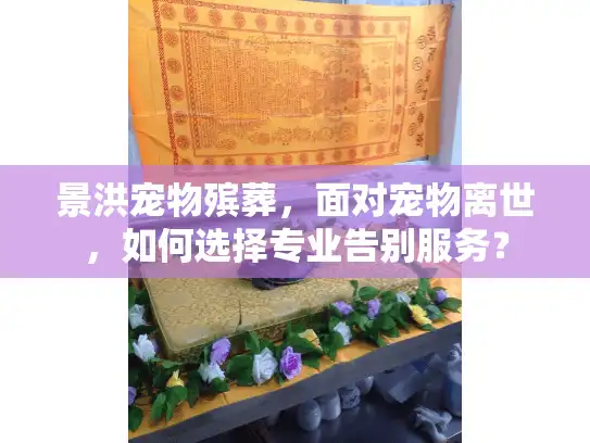 景洪宠物殡葬，面对宠物离世，如何选择专业告别服务？