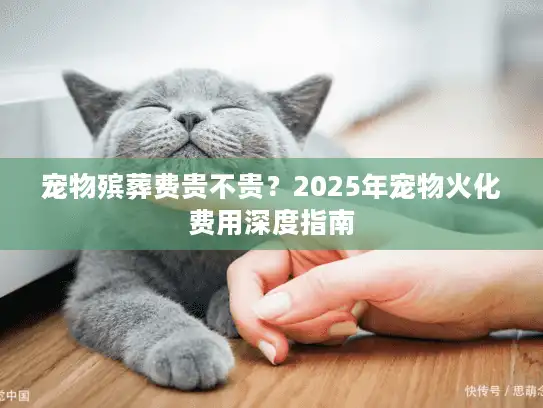 宠物殡葬费贵不贵？2025年宠物火化费用深度指南