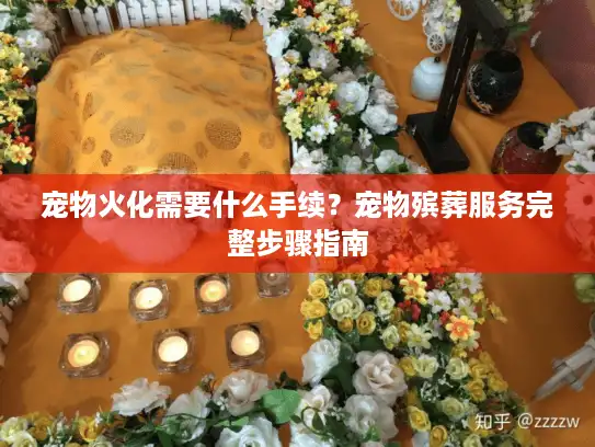 宠物火化需要什么手续？宠物殡葬服务完整步骤指南