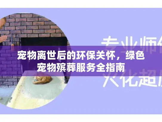 宠物离世后的环保关怀，绿色宠物殡葬服务全指南