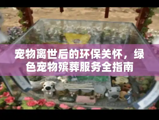 宠物离世后的环保关怀，绿色宠物殡葬服务全指南