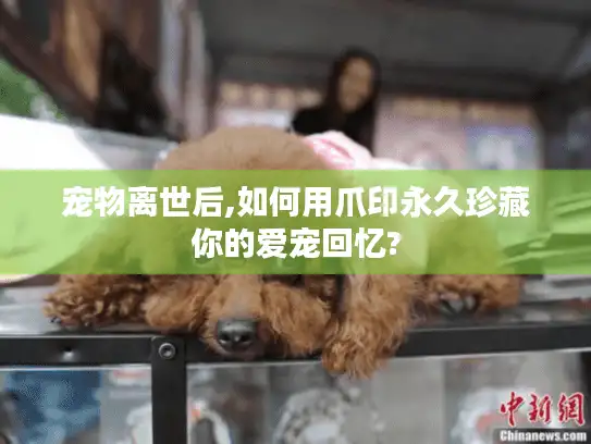 宠物离世后,如何用爪印永久珍藏你的爱宠回忆?