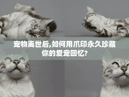 宠物离世后,如何用爪印永久珍藏你的爱宠回忆?