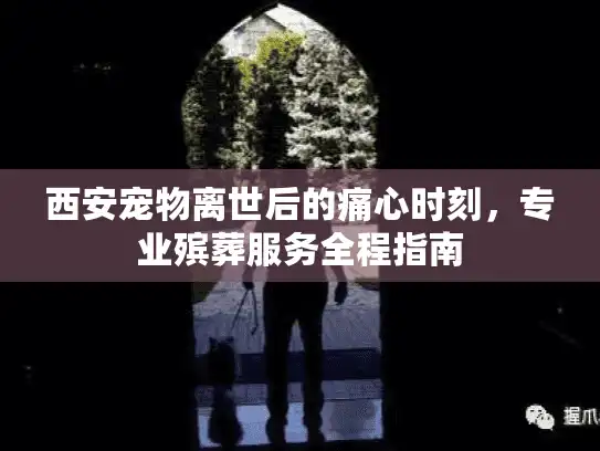 西安宠物离世后的痛心时刻，专业殡葬服务全程指南