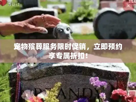 宠物殡葬服务限时促销，立即预约享专属折扣！