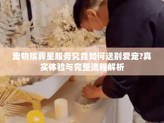 宠物殡葬星服务究竟如何送别爱宠?真实体验与完整流程解析